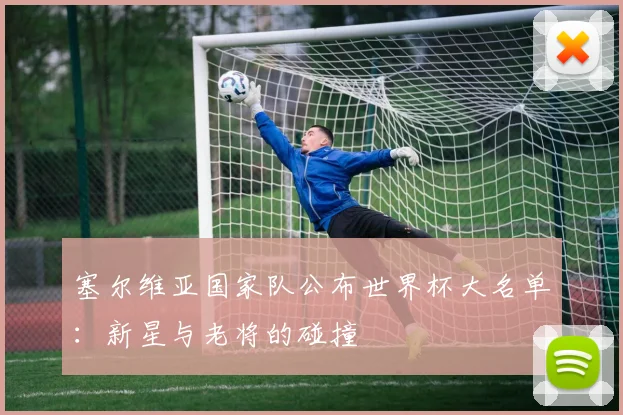 塞尔维亚国家队公布世界杯大名单：新星与老将的碰撞
