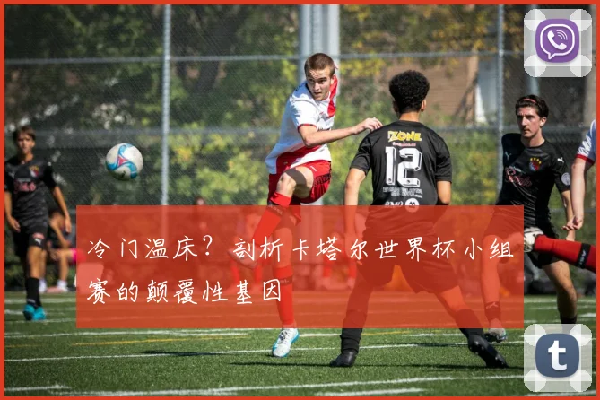 冷门温床？剖析卡塔尔世界杯小组赛的颠覆性基因