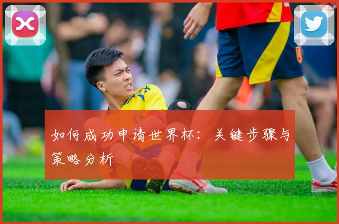 如何成功申请世界杯:关键步骤与策略分析