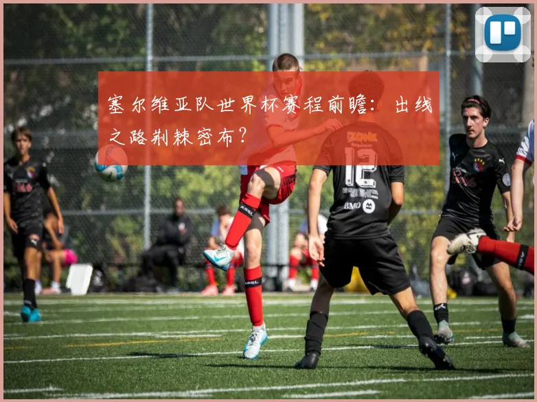 塞尔维亚队世界杯赛程前瞻：出线之路荆棘密布？