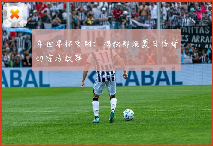 年世界杯官网：揭秘那场夏日传奇的官方故事