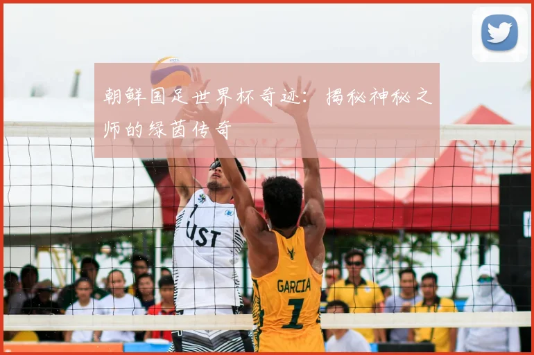 朝鲜国足世界杯奇迹：揭秘神秘之师的绿茵传奇