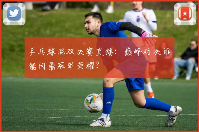 乒乓球混双决赛直播：巅峰对决谁能问鼎冠军荣耀？