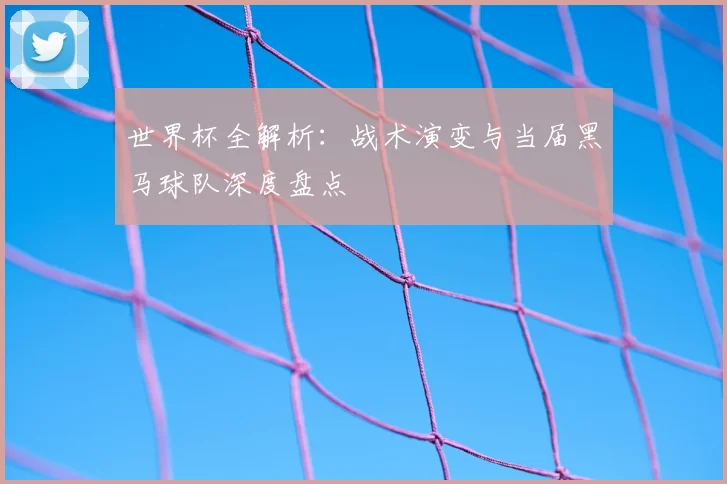 世界杯全解析：战术演变与当届黑马球队深度盘点